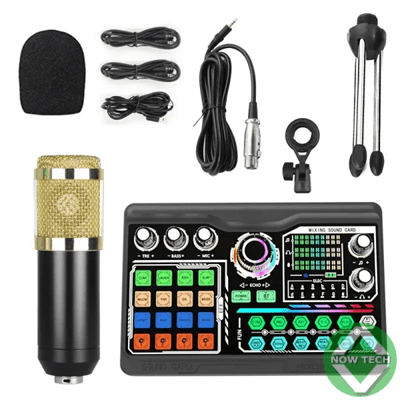 kit de carte son avec microphone P300 multimédias avec convertisseur en vente